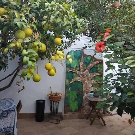 Casa Andreas *